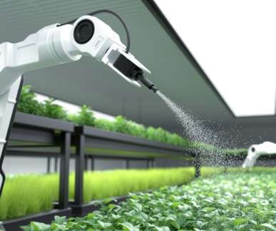 Agricultural automation